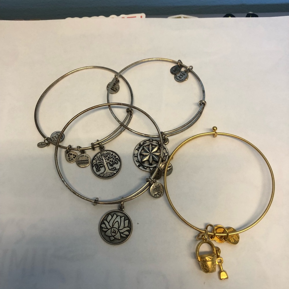 Alex and Ani Gold and Silver Charm Bangle Set